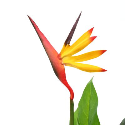 vidaXL Konstväxt papegojblomma 66 cm