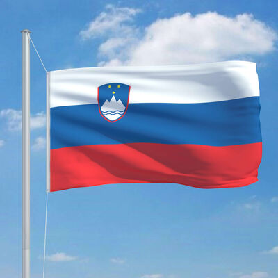 vidaXL Sloveniens flagga och flaggstång i aluminium 6,2 m