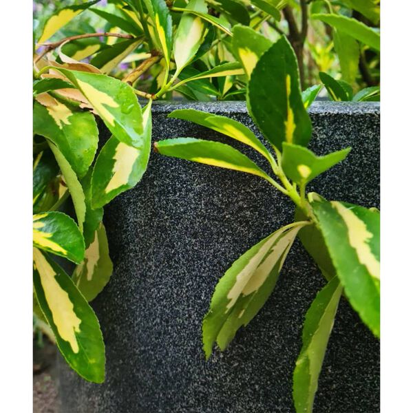 Capi Kruka Waste Smooth 43x41 cm gr&aring;