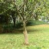 Produktminiatyrbild 2 av 7