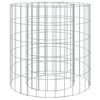 vidaXL Gabion f&ouml;r eldstad &Oslash; 50 cm galvaniserat j&auml;rn