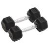 vidaXL Hantlar 2 st 5 kg totalt gjutj&auml;rn