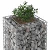 vidaXL Gabion upph&ouml;jd s&auml;ng Silver 50 x 50 x 80 cm Galvaniserat St&aring;l