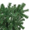 Produktminiatyrbild 11 av 15