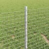 Produktminiatyrbild 4 av 13