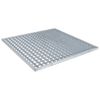 vidaXL Galler Silver 60 x 60 x 2 cm Varmf&ouml;rzinkad st&aring;l