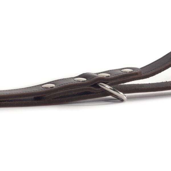 Beeztees Hundkoppel l&auml;der brunt 200x1,2 cm 736401