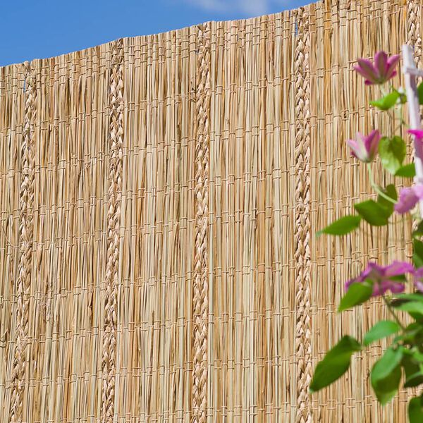 Nature Insynsskydd starrgr&auml;s 1x3m