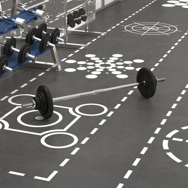 vidaXL Skivstång med vikter set 30 kg gjutjärn