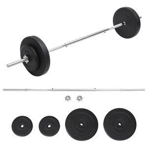 vidaXL Skivst&aring;ng med vikter set 30 kg