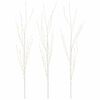 White_warm_white