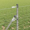 Produktminiatyrbild 4 av 15