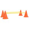 vidaXL Hundhinder orange och gul