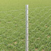 Produktminiatyrbild 4 av 13