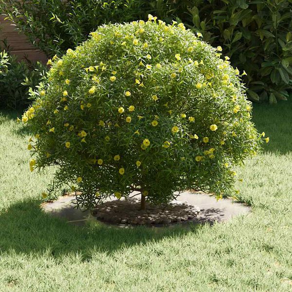 vidaXL lämplig för Flat Trädringar 5 pcs Silver Ø30 / 60 cm