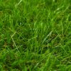 Produktminiatyrbild 3 av 3