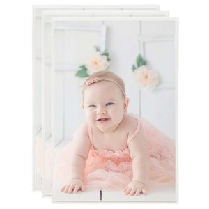 vidaXL Fotoramar 3 st f&ouml;r bord silver 21x29,7cm MDF
