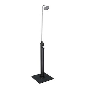 Bestway Soldriven tr&auml;dg&aring;rdsdusch Solar Flow svart 8 L