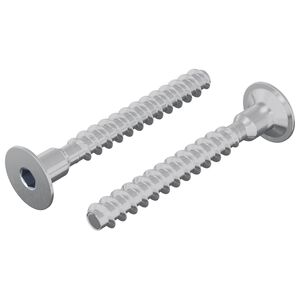 vidaXL Skruv 2 st Zinkbelagd 5 x 40 mm J&auml;rn