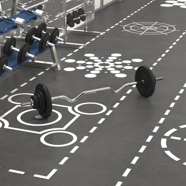 vidaXL Skivstång med vikter 30 kg gjutjärn & krompläterat stål