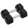 vidaXL Hantlar 2 st 8 kg totalt gjutj&auml;rn