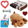 Snuggle Puppy Startkit för valp