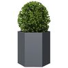 Produktminiatyrbild 3 av 10