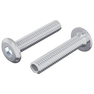 vidaXL L&aring;gskruv Enf&auml;rgad 2 pcs Silver M6 x 30 mm St&aring;l