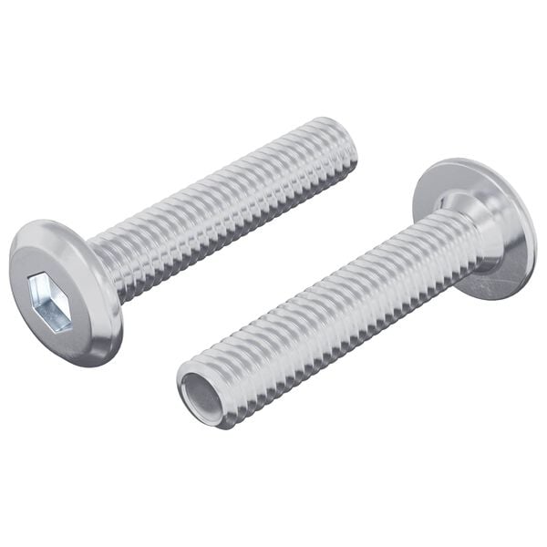 vidaXL L&aring;gskruv Enf&auml;rgad 2 pcs Silver M6 x 30 mm St&aring;l