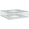 vidaXL Gabion upph&ouml;jd s&auml;ng 80 x 80 x 20 cm Galvaniserat St&aring;l Silver