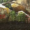 Produktminiatyrbild 2 av 5