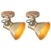 vidaXL Industriell v&auml;gglampa/taklampa 2 st m&auml;ssing 20x25 cm E27