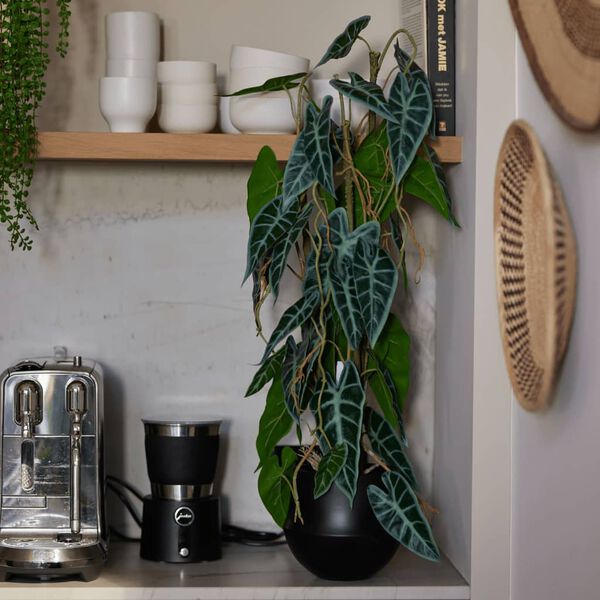 Emerald Konstv&auml;xt Alocasia i kruka 75 cm