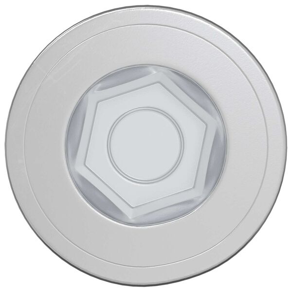 vidaXL Konfirmationsskruvar 12 pcs Silver Metall