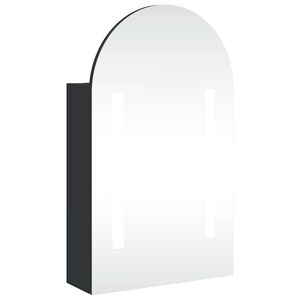 vidaXL Spegelsk&aring;p och LED-lampa b&aring;gformad svart 42x13x70 cm