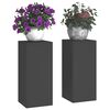 vidaXL V&auml;xtst&auml;ll 2 pcs Svart 24 x 24 x 55 cm St&aring;l