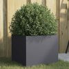 Produktminiatyrbild 2 av 11
