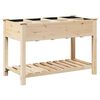 vidaXL Tr&auml;dg&aring;rdsplanterare Beige 115 x 59 x 76,5 cm Massivt Furu