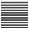 vidaXL Rullgardin zebra svart 165x100 cm tyg bredd 160,9cm polyester