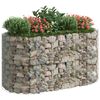 vidaXL Planteringsgabion galvaniserat järn 200x100x100 cm