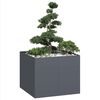 Produktminiatyrbild 2 av 9