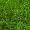 Produktminiatyrbild 2 av 3