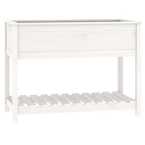 vidaXL Odlingsl&aring;da med hylla vit 111,5x54x81 cm massiv furu