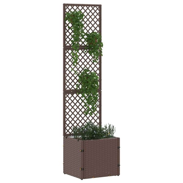 Visar produktbild 2 av 11