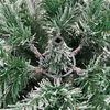 Produktminiatyrbild 7 av 9