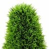 Produktminiatyrbild 3 av 5