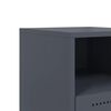 Produktminiatyrbild 10 av 13