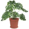 Produktminiatyrbild 3 av 12