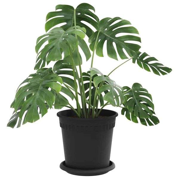 vidaXL V&auml;xtkrukor 24 pcs Svart &Oslash; 17 x 14 cm Plast