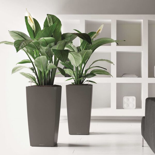 LECHUZA Blomkruka Cubico 40 ALL-IN-ONE kolgrå 18194